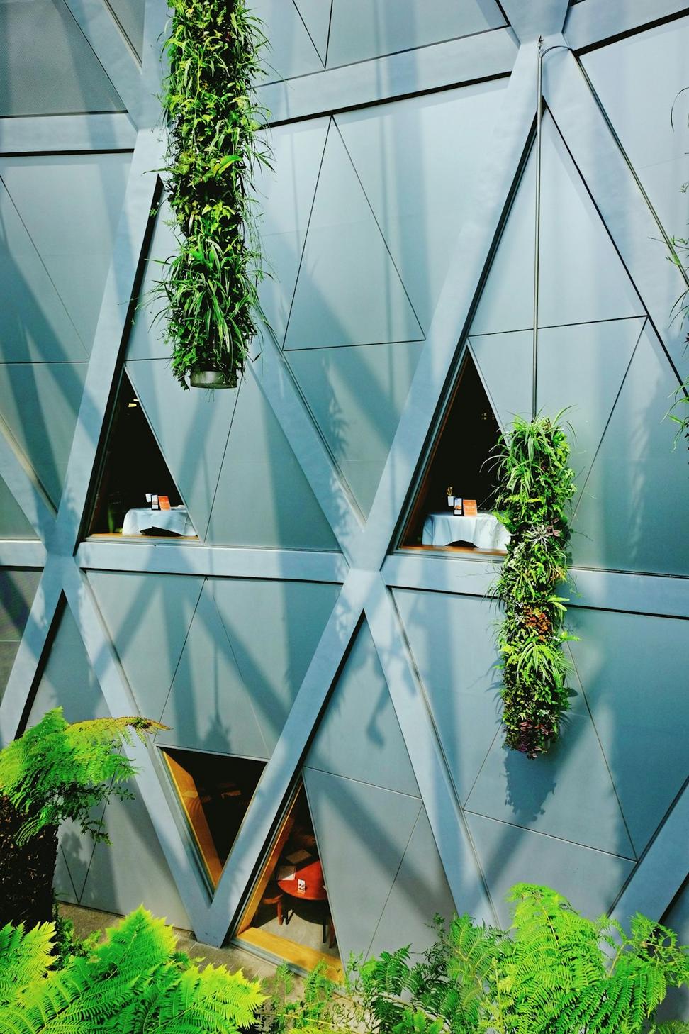 Wellness Center